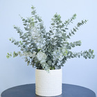 Arranjo De Eucaliptos Artificiais No Vaso De Cerâmica | Formo